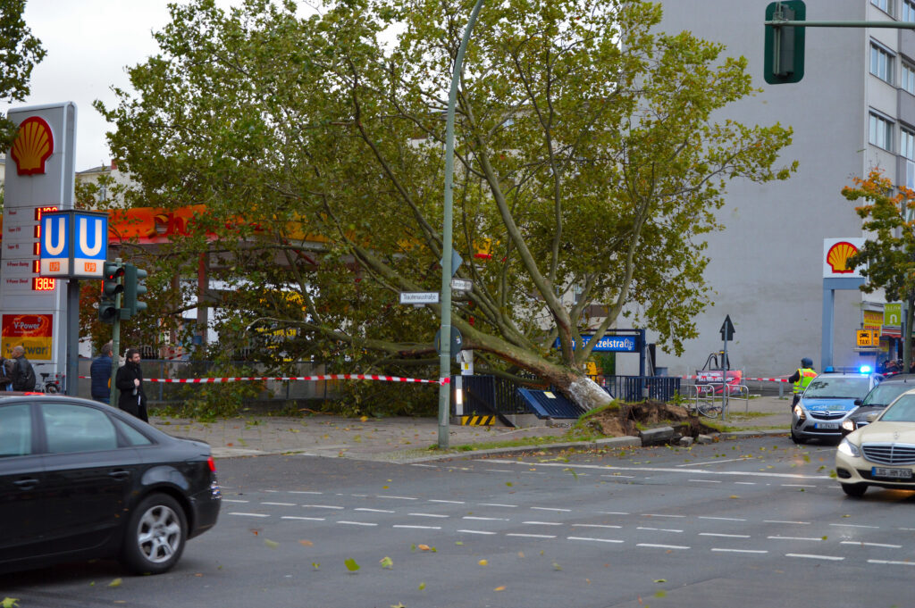 Gefahrenbaum nach Sturm